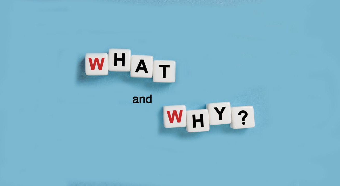 The <i>what</i> and the <i>why</i>