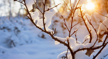 Prayer ventures: Dec. 14