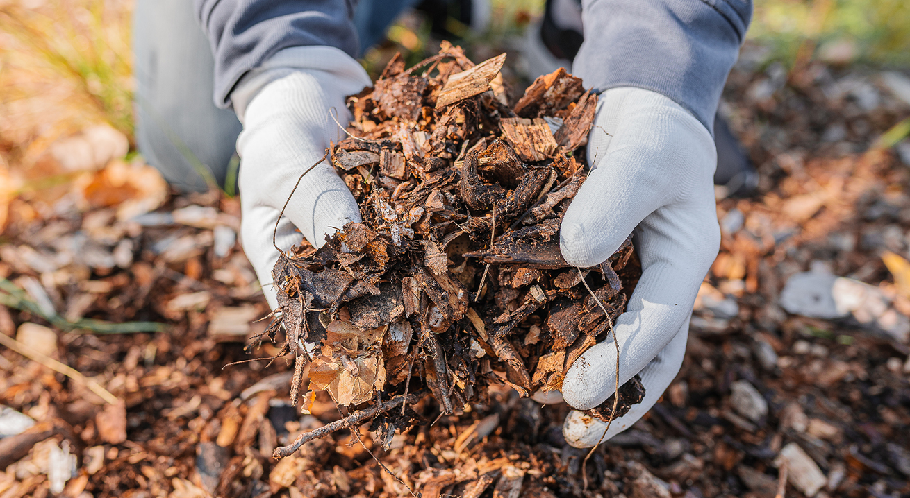 The divine process of compost