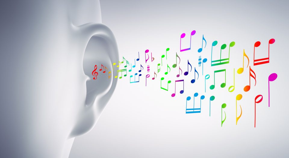 The ear of a disciple