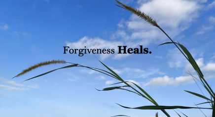 True forgiveness