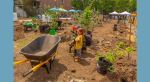 Child and man plant trees in a community garden