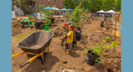 A garden for all of us