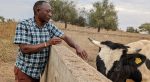 Willie Langdji, ELCA regional representative for West and Central Africa, works with the Evangelical Lutheran Church of the ELCA-CAR on projects, including milk production, with the help of its companion synod, the Western North Dakota Synod.