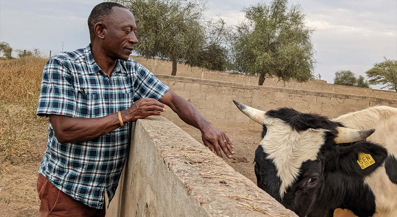 Willie Langdji, ELCA regional representative for West and Central Africa, works with the Evangelical Lutheran Church of the ELCA-CAR on projects, including milk production, with the help of its companion synod, the Western North Dakota Synod.